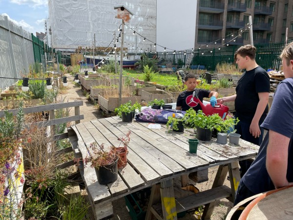 Tottenham Grow